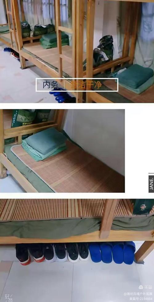 潍坊辰桐教育的美篇